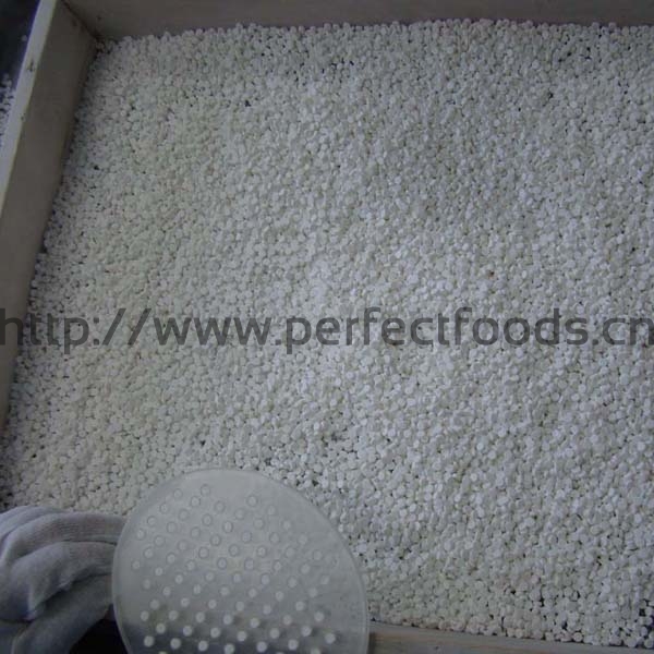 STEVIA TABLETS