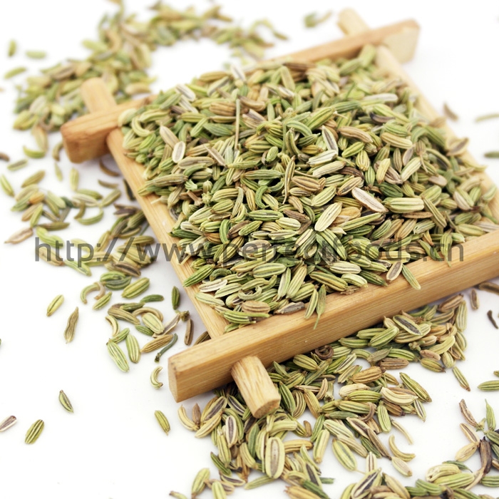 FENNEL SEEDS