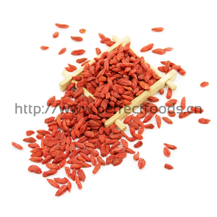 GOJI BERRY