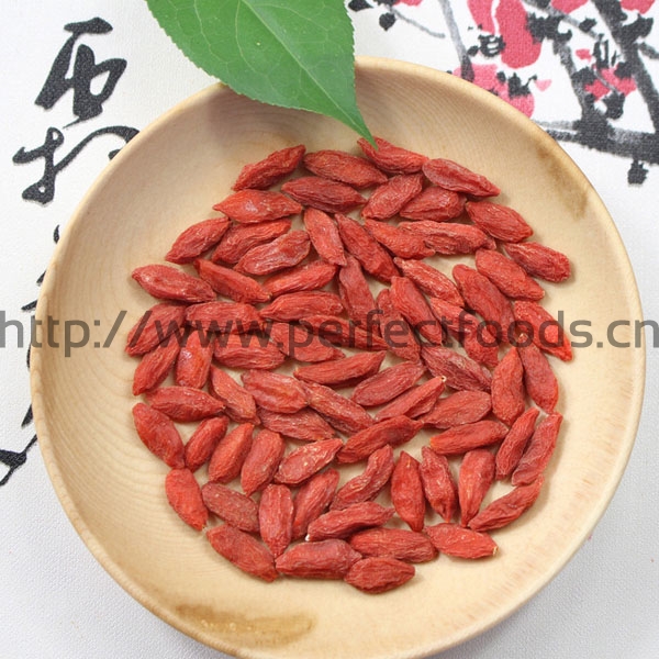 GOJI BERRY