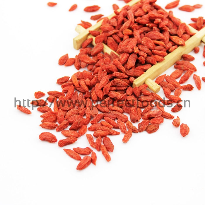 GOJI BERRY