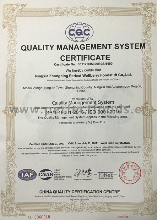 ISO CERTIFICATE