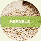 KERNELS