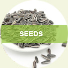 SEEDS